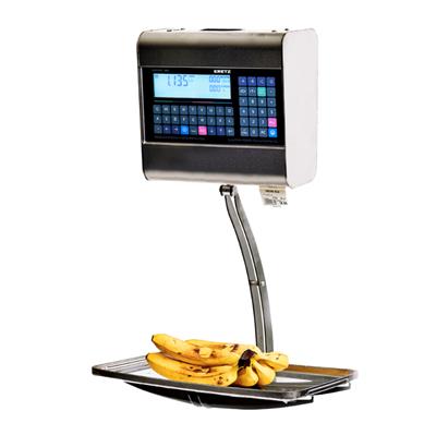 BALANZA KRETZ REPORT COLGANTE TCP/IP 15kg